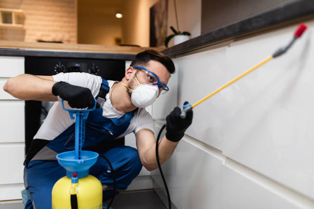 Best Flea Control Services  in Sarasota, FL
