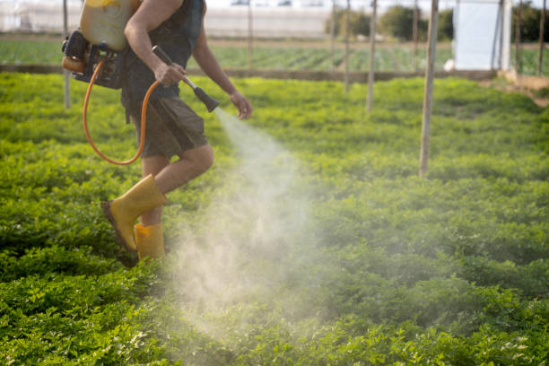 Best Pest Prevention Services  in Sarasota, FL