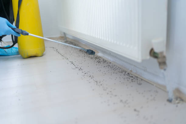 Best Commercial Pest Control Services  in Sarasota, FL