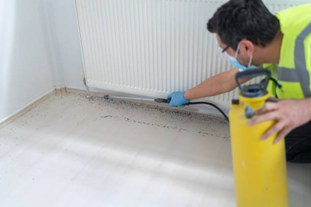 Best Local Pest Control Services  in Sarasota, FL